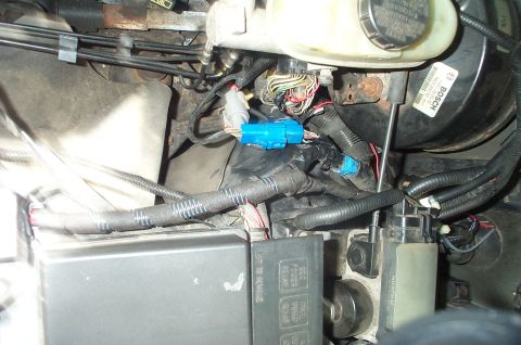 1999 Ford Crown Victoria - Close-up view of the engine bay wiring harness and brake booster, blue electrical connectors.