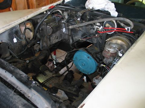 1981 Chevrolet Corvette “Dad's 1981 Vette”