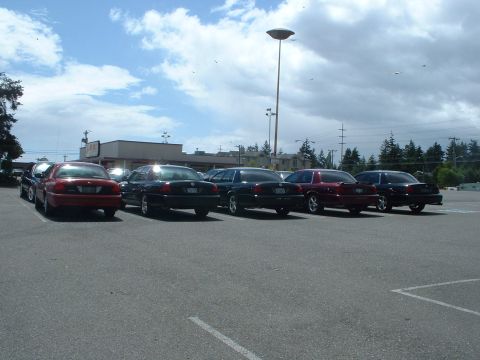 1999 Ford Crown Victoria - A row of Ford Crown Victorias are parked in a lot under a cloudy sky.