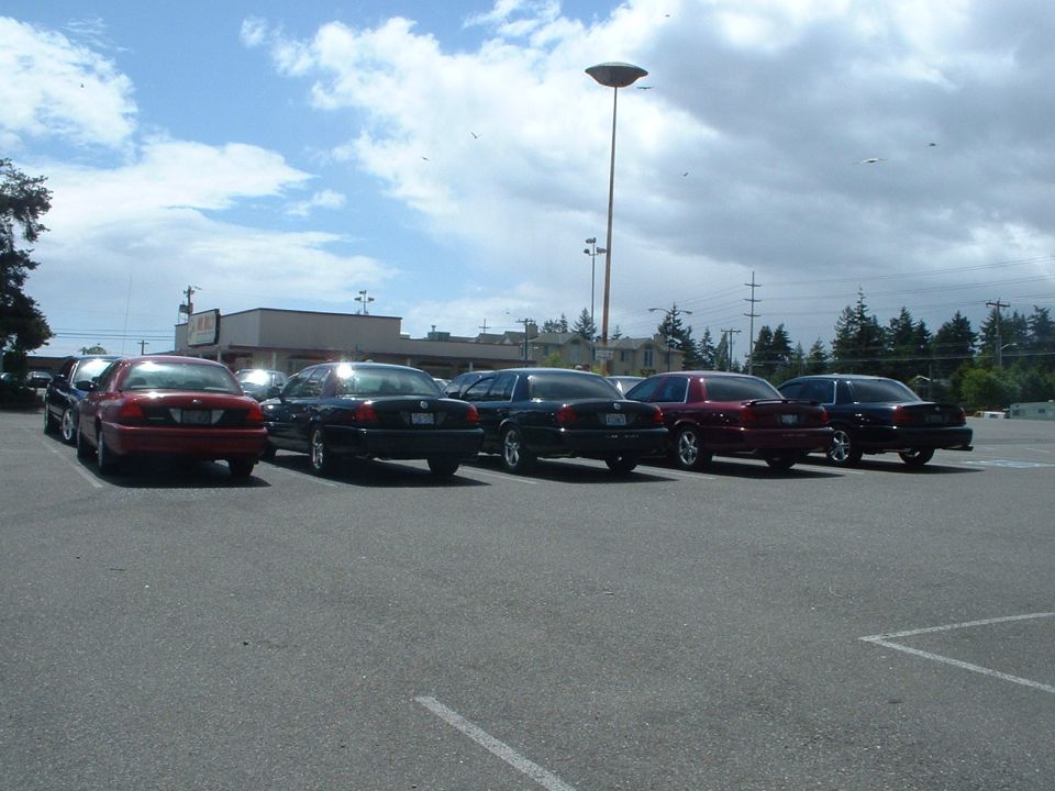 Several Ford Crown Victorias parked in a lot, mostly black with one red one