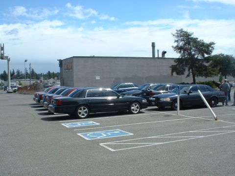 1999 Ford Crown Victoria - Several black Ford Crown Victorias are parked in a lot under a cloudy sky.