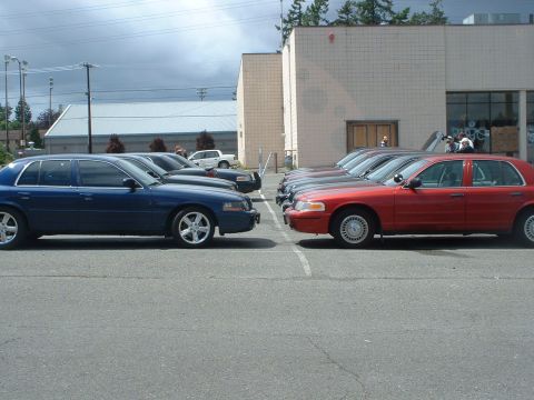 1999 Ford Crown Victoria - Two rows of Ford Crown Victorias, one blue and one red, are parked facing each other in a parking lot.