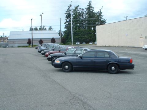 1999 Ford Crown Victoria - Several Ford Crown Victoria police cars are lined up in a parking lot.