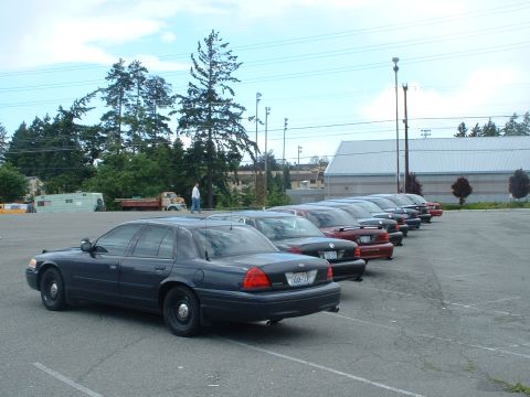 1999 Ford Crown Victoria - A line of Ford Crown Victorias are parked in a lot under a cloudy sky.