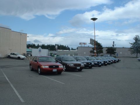 1999 Ford Crown Victoria - A row of Ford Crown Victorias are parked in a lot under a cloudy sky.