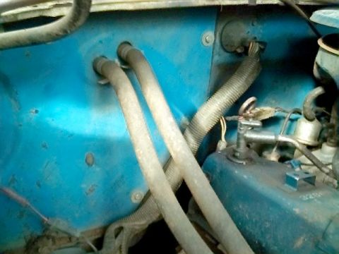 1978 Ford Bronco - Detail shot of hoses and wiring harness against a blue firewall in a vehicle's engine compartment.