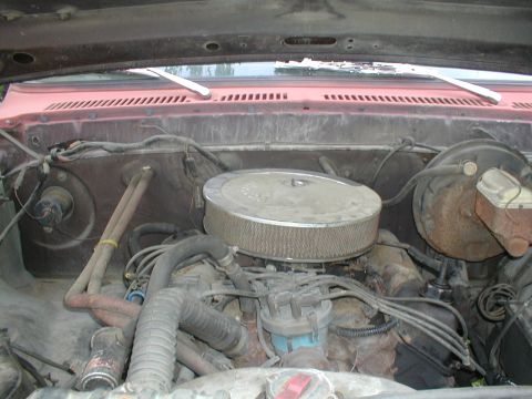 1979 Ford Bronco - The engine bay of a 1979 Ford Bronco, showing the V8 engine, air cleaner, and brake booster.