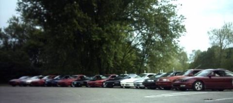 1995 Ford Probe - A row of cars are parked in a line, with trees in the background and a bright sky overhead.