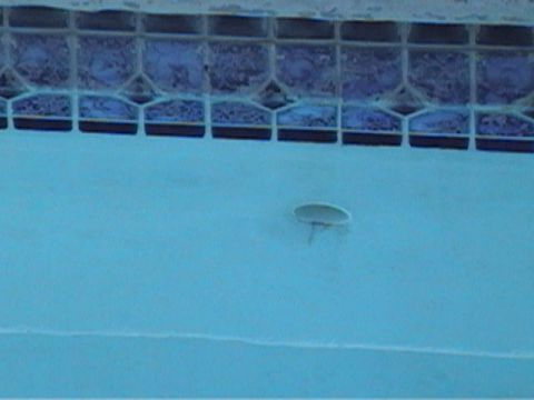 1994 Ford Bronco - A swimming pool scene with blue tiles and a drain visible on the pool floor.
