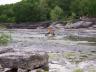 1985 Toyota 4Runner - An orange vehicle is partially submerged in a river, surrounded by rocks and trees.