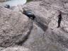 1985 Toyota 4Runner - A person watches an off-road vehicle navigate a challenging rocky stream bed in a natural landscape.