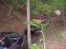 1985 Toyota 4Runner - A natural scene in a forest, a fallen log and surrounding vegetation.