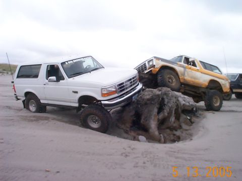 1983 Ford Bronco - Alvey - Tony