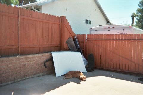1990 Ford Bronco - tan dog lies in the sun in a red-fenced concrete yard beside leaning panels and a white Haulmark enclosed trailer.