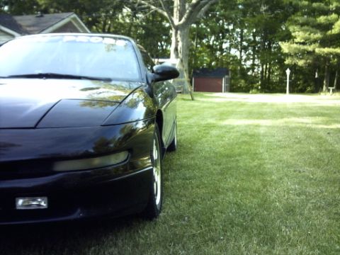 1995 Ford Probe - A black car is parked on a grassy lawn with trees and a small shed in the background.
