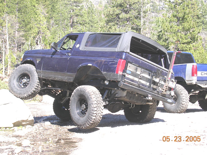 Purple Ford Bronco flexed on rocks with tube rear bumper and mud tires on a pine trail