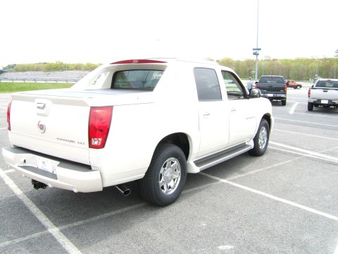 1998 Ford Taurus - Rear view of a white Cadillac Escalade EXT pickup truck, model year 2002. Other trucks are visible in the background.