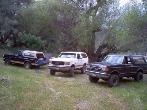 1988 Ford Bronco - Three Ford Broncos are parked in a natural setting with trees and grass surrounding them.