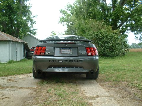 2003 Ford Mustang - The rear of a gray Ford Mustang GT is visible with a license plate and "MUSTANG" text on the trunk.