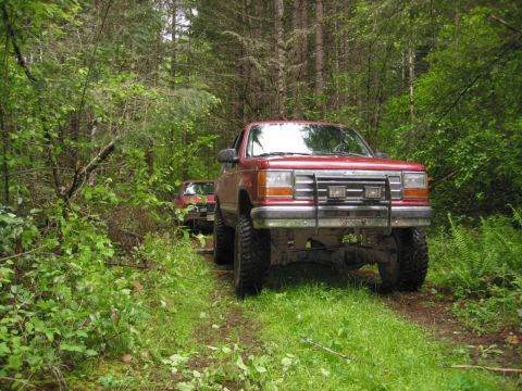 1991 Ford Explorer - Two red SUVs drive down a narrow dirt path surrounded by dense forest foliage.