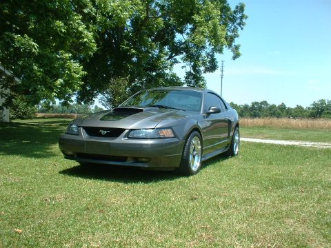 2003 Ford Mustang - A gray coupe with a hood scoop is parked on a grassy lawn with trees in the background.