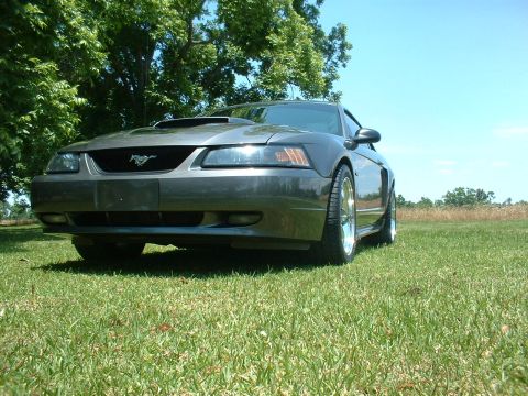 2003 Ford Mustang - A gray 2003 Ford Mustang is parked on a grassy field under a clear blue sky.