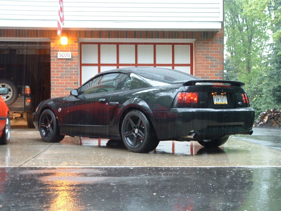 Black 2000 Ford Mustang GT rear view, license plate FKW-5859
