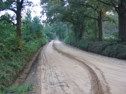 1989 Ford F-150 - A dirt road winds through a wooded area with tire tracks marking the path.