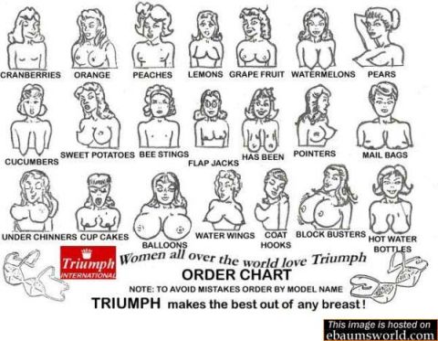 1986 Ford Bronco - A chart humorously categorizes women's breast sizes with fruit and object analogies, alongside a Triumph International logo.
