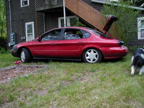 1997 Ford Taurus - A red 1997 Ford Taurus sedan is parked on the grass with its trunk open, a dog runs in the background.