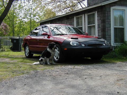 1997 Ford Taurus - A 1997 Ford Taurus is parked in front of a house with a dog sitting beside it.