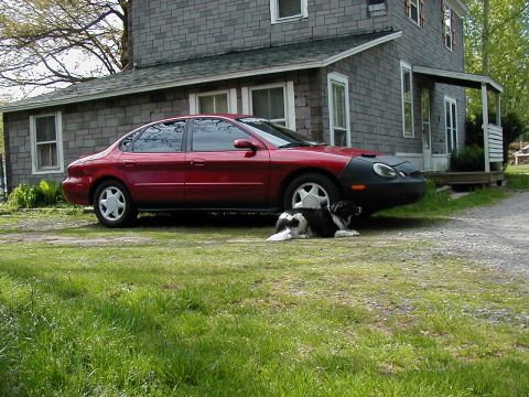 1997 Ford Taurus - A red sedan, likely a 1996 model, sits in front of a house with a dog resting nearby.