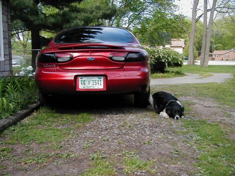 1997 Ford Taurus - A red 1997 Ford Taurus is parked in a driveway with a dog resting nearby.