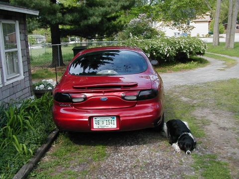 1997 Ford Taurus - Red 1997 Ford Taurus parked in a driveway with a dog resting beside it.