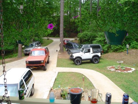 1981 Ford Bronco - Multiple vehicles are parked in a driveway surrounded by trees and greenery.
