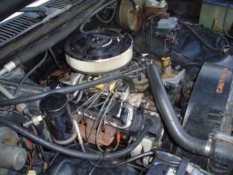 1981 Ford Bronco - The engine bay of a 1981 Ford Bronco shows a V8 engine with a chrome air cleaner and visible exhaust manifolds.