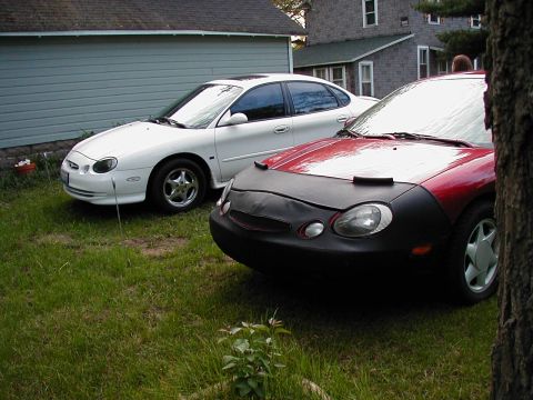 1997 Ford Taurus - Two sedans, a white 1997 Ford Taurus and a red car with a bra, are parked on a grassy lawn.