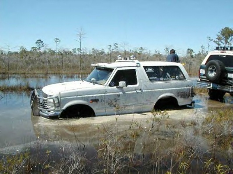 White Ford Bronco stuck in swamp water with roof lights, green SUV at right