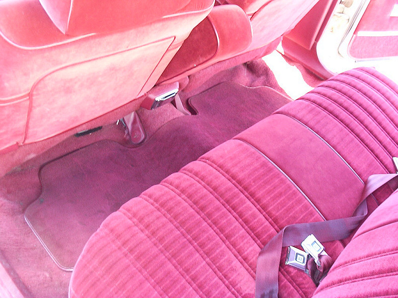 Clean rear interior.