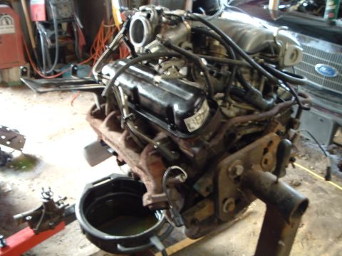 1989 Ford Crown Victoria LTD - Engine assembly removed from a vehicle and placed on an engine stand.