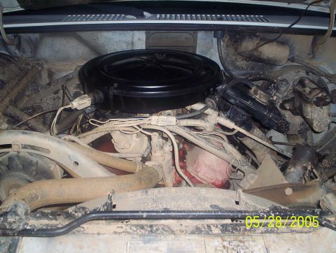 1984 Ford Bronco II - Close-up view of a dirty engine bay, showing various components and hoses.