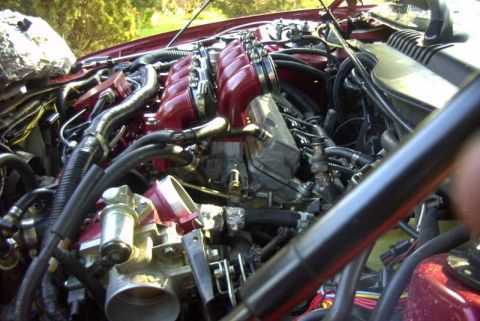 1997 Ford Taurus - Engine bay detail shot showing intake manifold and wiring harness.