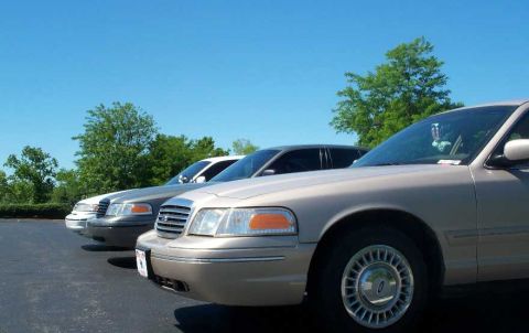 1998 Ford Crown Victoria - A line of tan and gray sedans are parked under a clear blue sky.