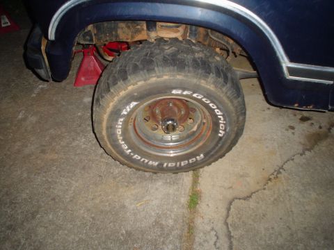1981 Ford Bronco - The vehicle is supported by red jack stands, indicating it is undergoing maintenance or repair.