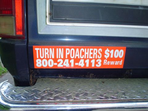 1981 Ford Bronco - A bumper sticker offers a reward for reporting poachers, with a phone number to call.