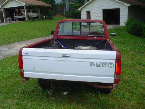 1981 Ford Bronco - The tailgate of a Ford pickup truck shows the 'FORD' lettering and taillights.