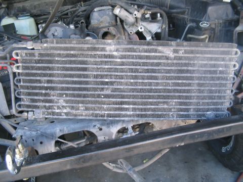 1994 Jeep Cherokee “pig dog”