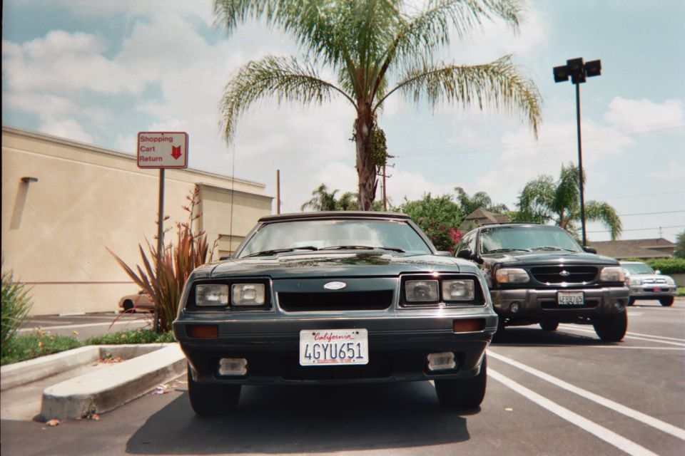 Front view of black Fox-body Mustang GT convertible parked in a lot beside a palm tree