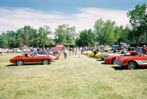 1972 Ford Ranchero - even more bowties