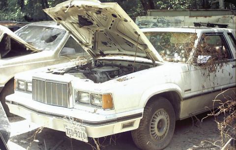 1985 Ford LTD Crown Victoria - Junkyard scene with a white 1985 Ford LTD Crown Victoria, hood up, showing engine bay.